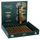 Plasencia Alma Fuerte Natural Eduardo I Box of 10 - 6" 1/4 x 54