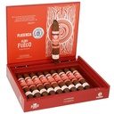 Plasencia Alma del Fuego Cortez Box of 10 - 5" 3/4 x 56
