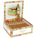 San Cristobal Elegancia Pyramid Box of 25 - 6" 1/8 x 52