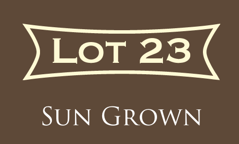Perdomo Lot 23 Sungrown