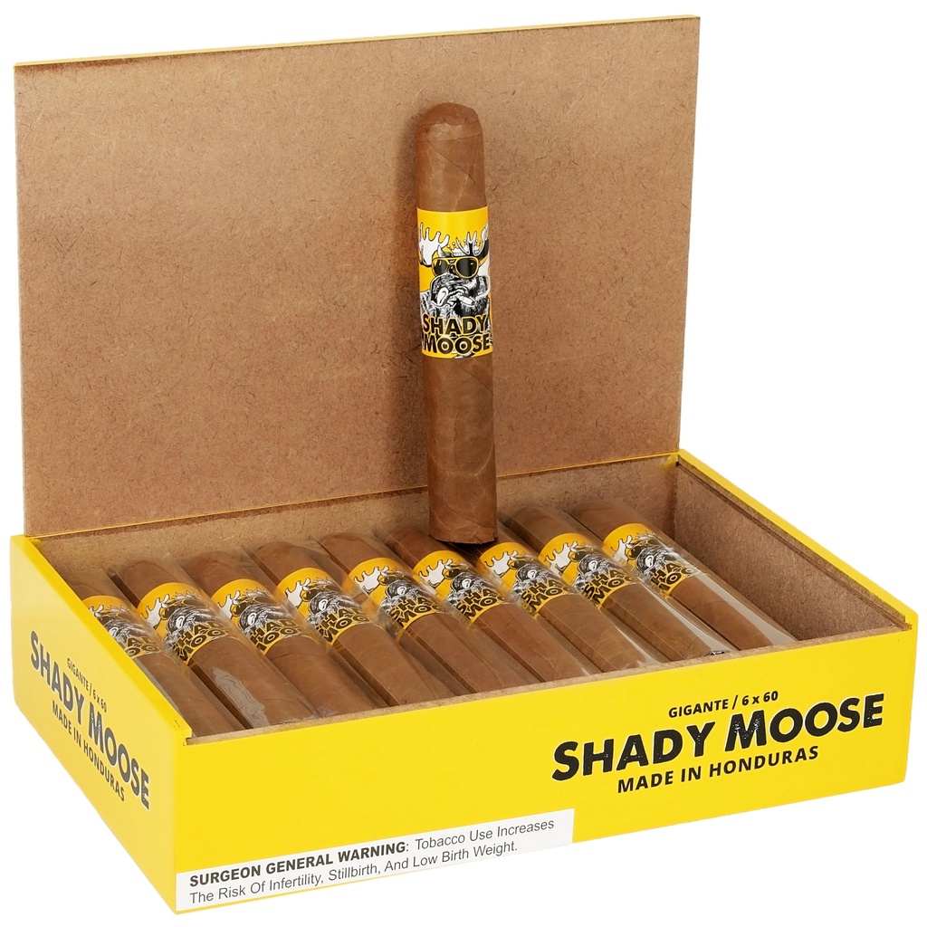 Chillin Moose Shady Moose Gigante Box of 20 - 6" x 60