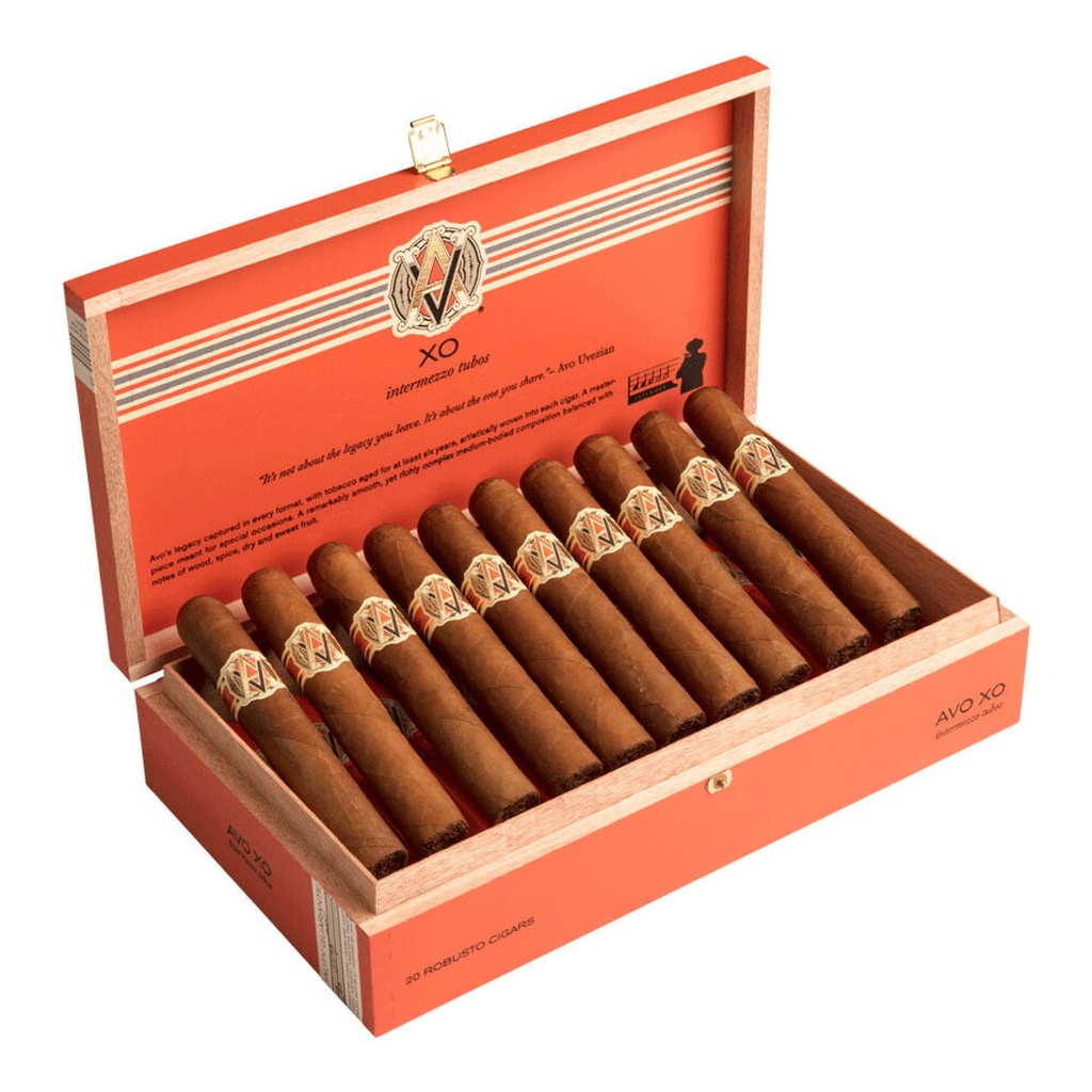 AVO Classic XO Legato Box of 20 - 6" x 54
