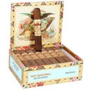 San Cristobal Revelation Prophet Box of 24 - 5" 1/4 x 54