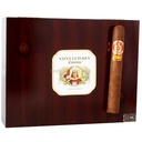 Saint Luis Rey Carenas