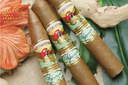 San Cristobal Elegancia 