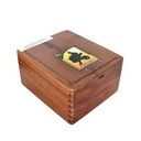 Acid Earthiness Box of 24 - 5" x 43