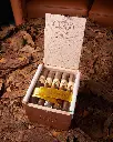 Oliva Serie G Aged Cameroon
