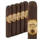 Oliva Serie G Maduro 