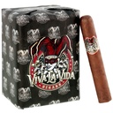 Viva La Vida Gran Toro Bundle of 20 - 6" x 60 