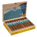 Avo Syncro South America Ritmo Special Toro Box of 20 - 6" x 60